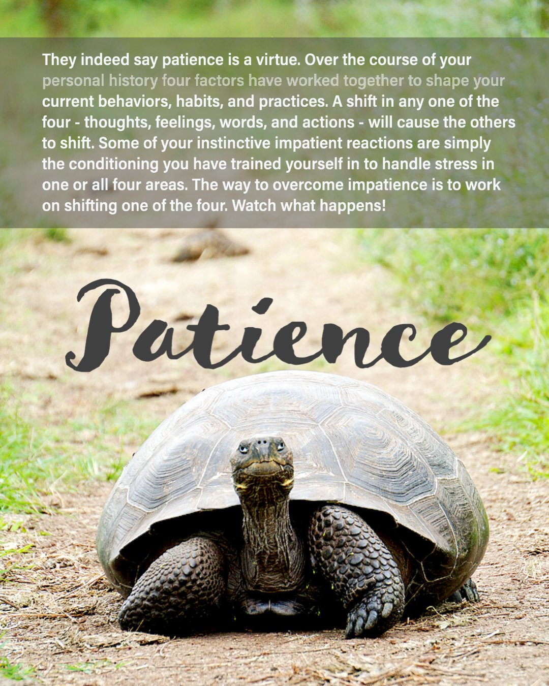 patience is a virtue