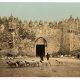 The Damascus gate in israel